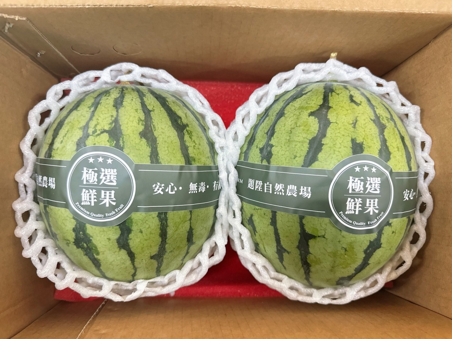 🍉亞虎紅肉小西瓜🍉(禮盒)