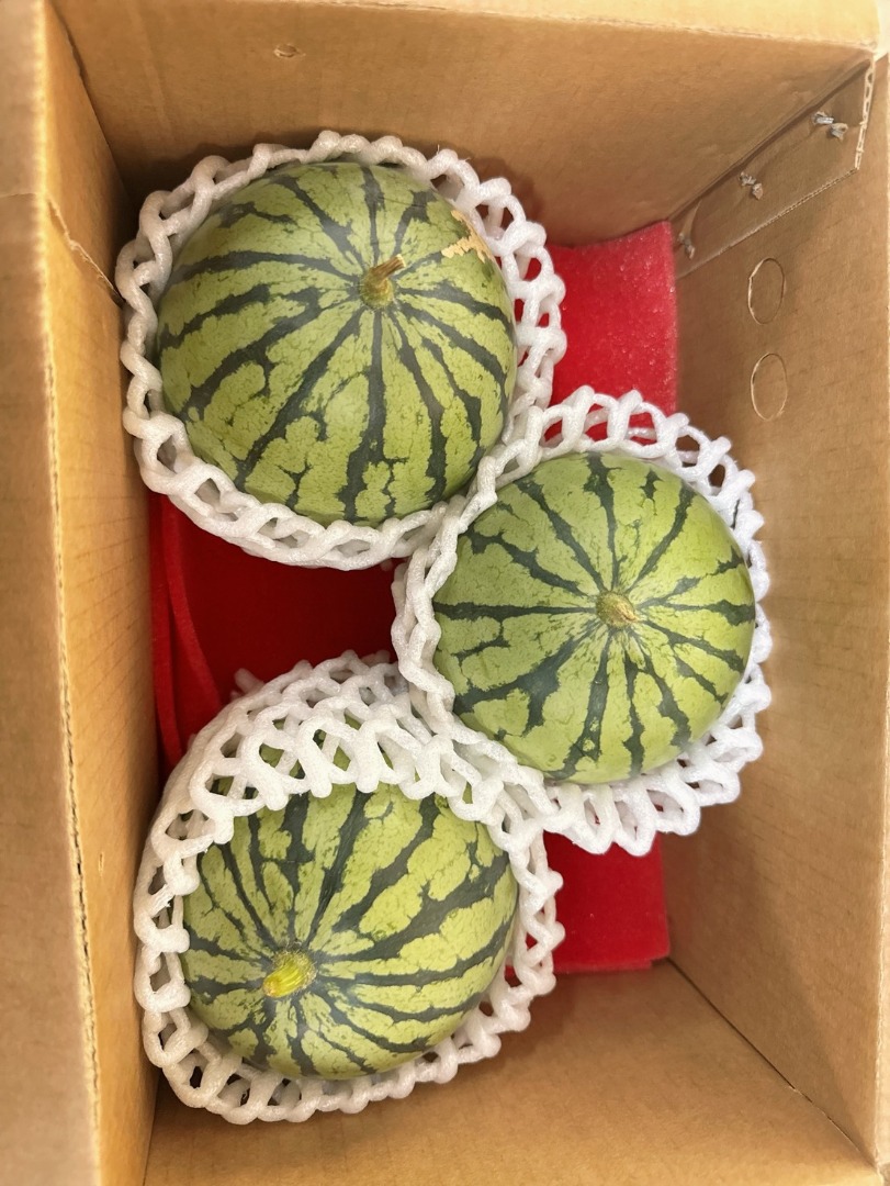 🍉亞虎紅肉小西瓜🍉(禮盒)