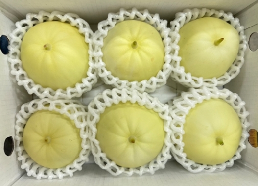 有機美濃瓜🍈