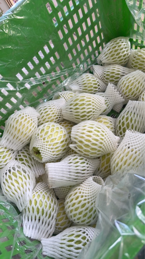 期間限定:(冷藏)有機葉菜三份+有機芭樂