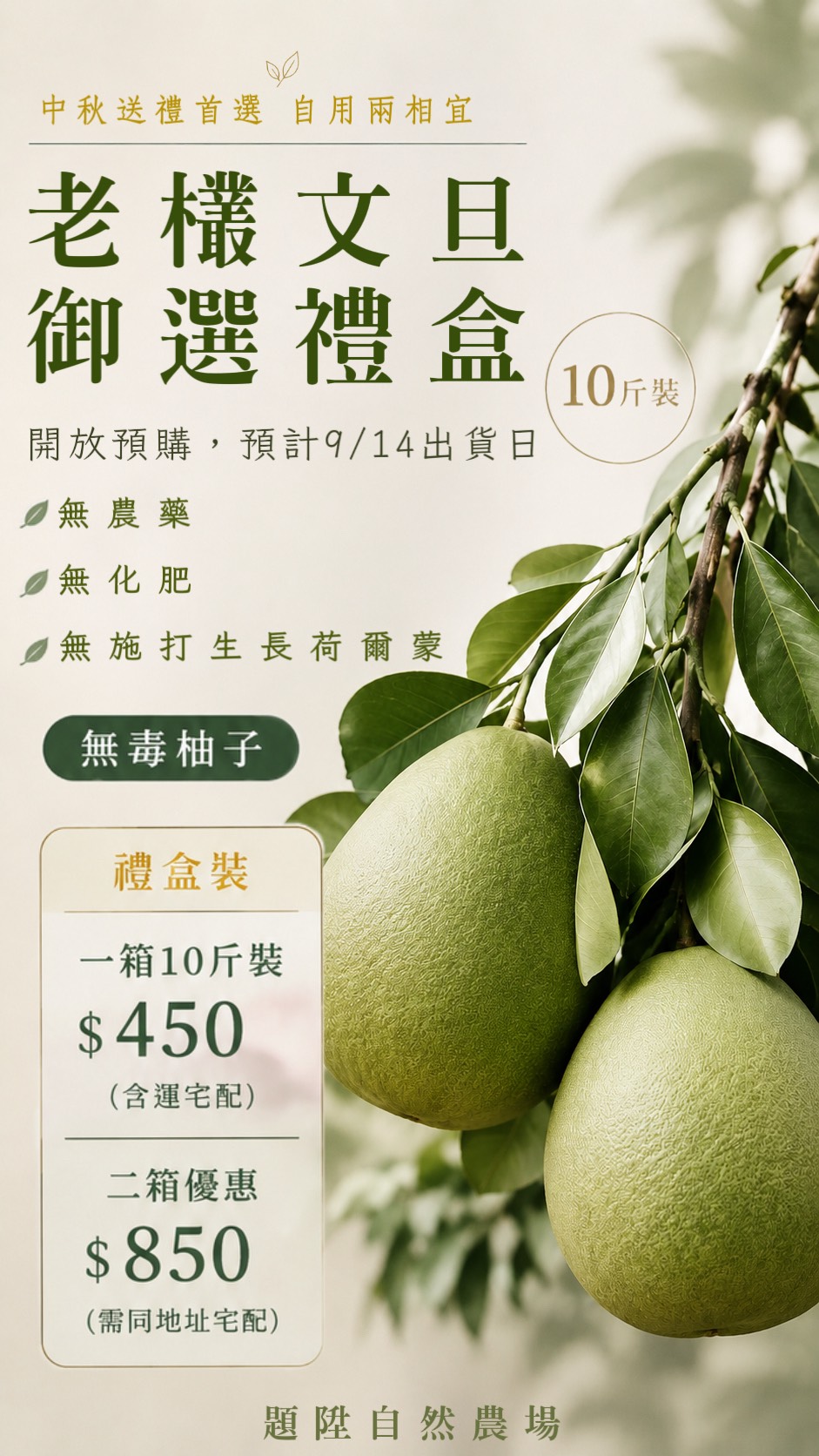 預購：中秋限定-老欉文旦御選禮盒10斤裝