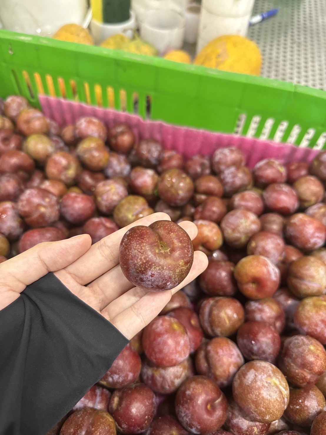 期間限定：(冷藏)有機葉菜3份+紅肉李4斤/盒